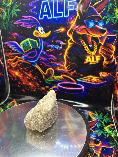 MDMA 💎