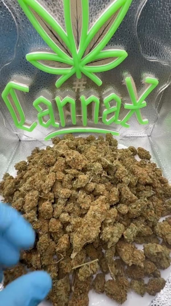 Amnesia Haze🇳🇱