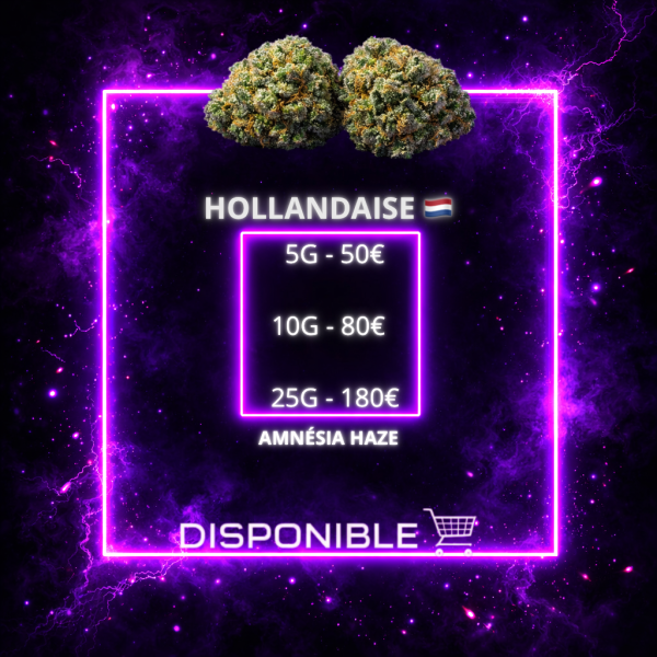 AMNÉSIA HAZE 🍀🇳🇱