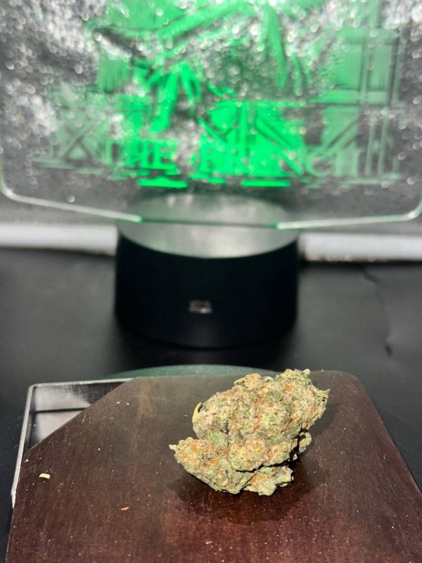 Gelato 🍀